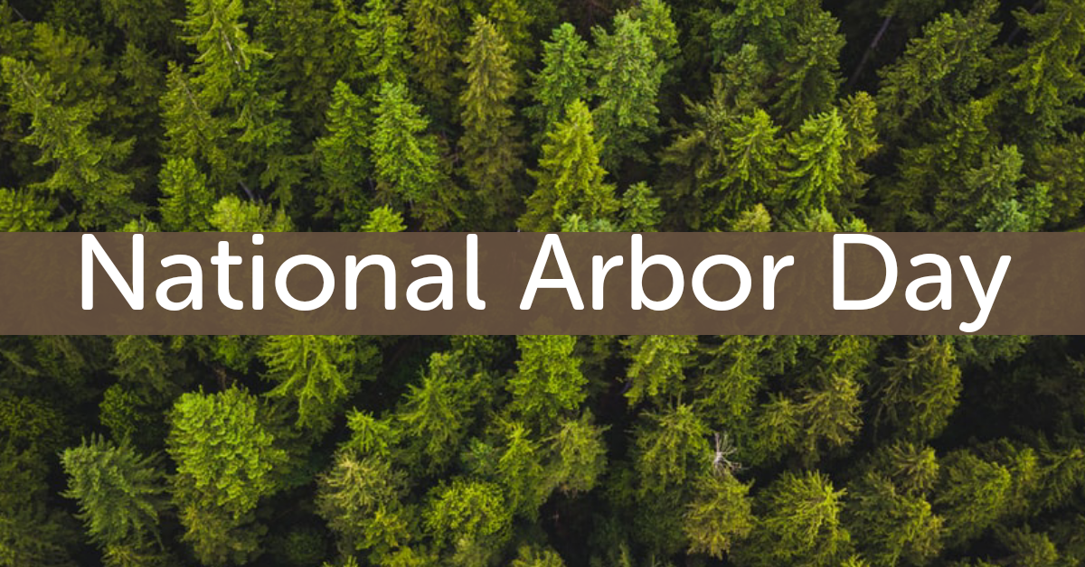 National Arbor Day Why do Trees Matter? Strauser Nature’s Helpers